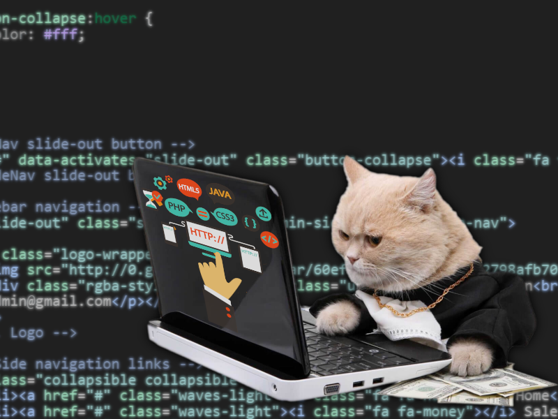 I am now webdev