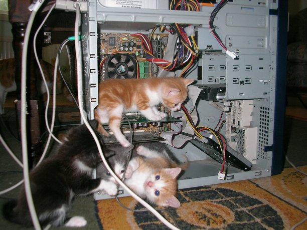 Enjoy this random picture of cute computer kitties