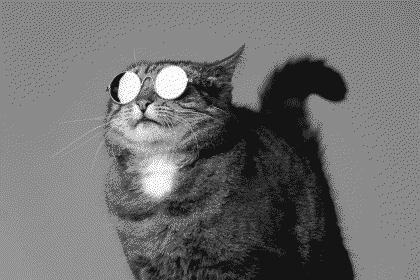 You rely on third party search engines to search your site? Pathetic.